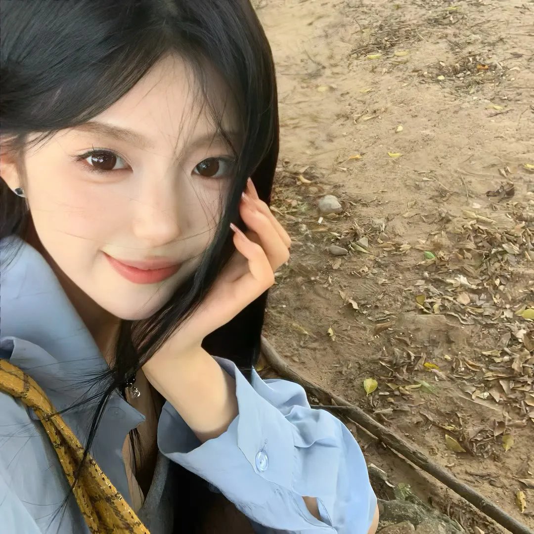 菜鸟囧探