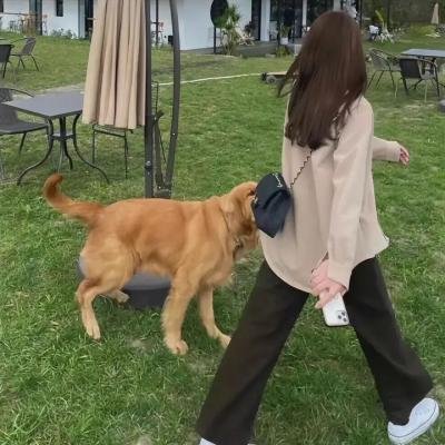小二班之变身老爸