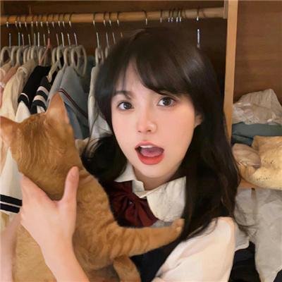 被解放的蠢朋克